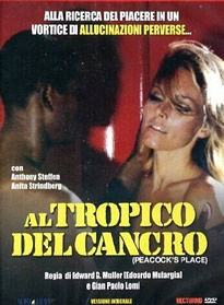 精品久久久久中文字幕一区